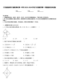 江苏省扬州市江都区郭村第一中学2023-2024学年八年级数学第一学期期末统考试题含答案