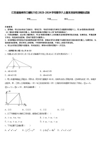 江苏省扬州市江都区八校2023-2024学年数学八上期末质量检测模拟试题含答案