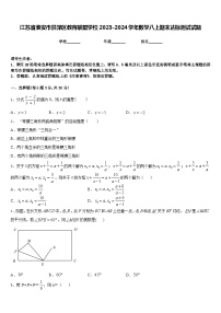 江苏省淮安市洪泽区教育联盟学校2023-2024学年数学八上期末达标测试试题含答案