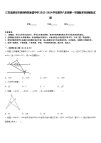 江苏省淮安市淮阴师院附属中学2023-2024学年数学八年级第一学期期末检测模拟试题含答案