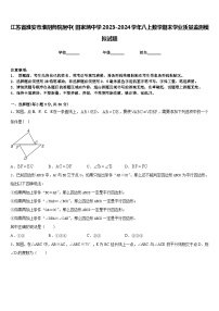 江苏省淮安市淮阴师院附中（田家炳中学2023-2024学年八上数学期末学业质量监测模拟试题含答案