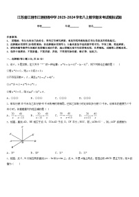 江苏省江阴市江阴初级中学2023-2024学年八上数学期末考试模拟试题含答案