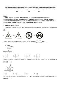 江苏省苏州工业园区青剑湖学校2023-2024学年数学八上期末综合测试模拟试题含答案