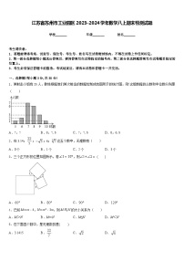 江苏省苏州市工业园区2023-2024学年数学八上期末检测试题含答案