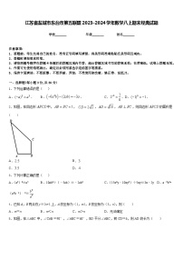 江苏省盐城市东台市第五联盟2023-2024学年数学八上期末经典试题含答案