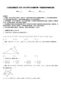 江苏省无锡锡东片2023-2024学年八年级数学第一学期期末联考模拟试题含答案