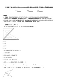 江苏省无锡市阳山中学2023-2024学年数学八年级第一学期期末检测模拟试题含答案