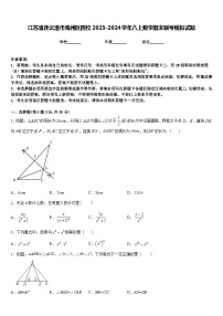 江苏省连云港市海州区四校2023-2024学年八上数学期末联考模拟试题含答案