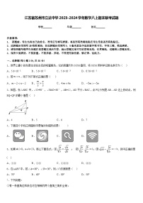 江苏省苏州市立达中学2023-2024学年数学八上期末联考试题含答案