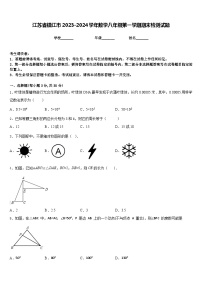 江苏省镇江市2023-2024学年数学八年级第一学期期末检测试题含答案