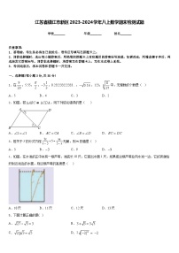 江苏省镇江市新区2023-2024学年八上数学期末检测试题含答案