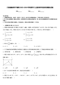 江西省赣州市宁都县2023-2024学年数学八上期末教学质量检测模拟试题含答案