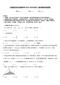 江西省吉安市白鹭洲中学2023-2024学年八上数学期末预测试题含答案