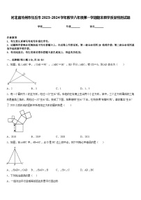 河北省沧州市任丘市2023-2024学年数学八年级第一学期期末教学质量检测试题含答案