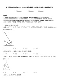 河北省邯郸市临漳县2023-2024学年数学八年级第一学期期末监测模拟试题含答案