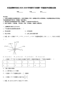河北省邯郸市名校2023-2024学年数学八年级第一学期期末考试模拟试题含答案