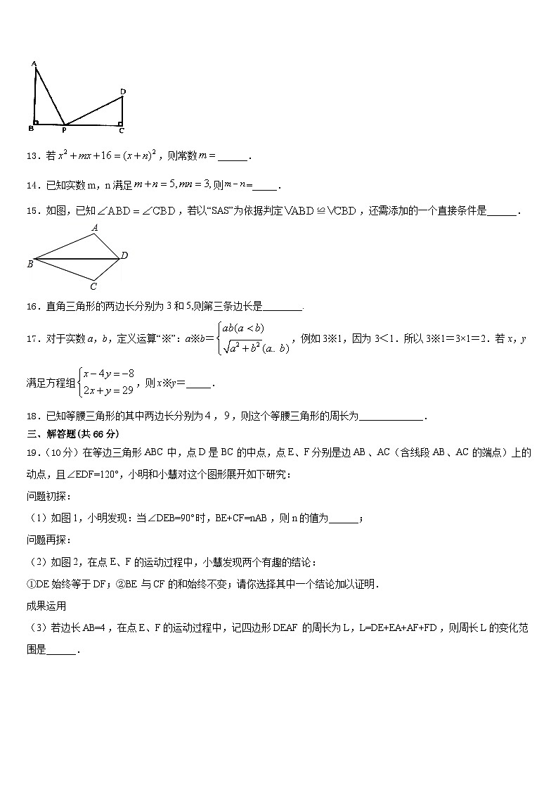 河北省衡水安平县联考2023-2024学年数学八上期末经典试题含答案03