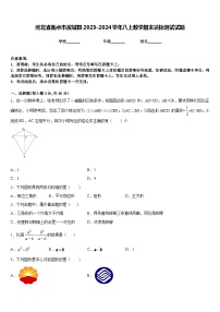 河北省衡水市故城县2023-2024学年八上数学期末达标测试试题含答案