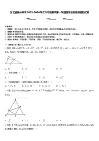 河北省衡水中学2023-2024学年八年级数学第一学期期末达标检测模拟试题含答案