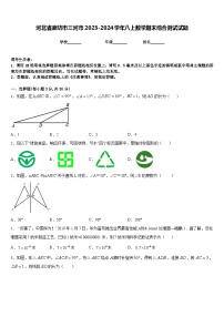 河北省廊坊市三河市2023-2024学年八上数学期末综合测试试题含答案