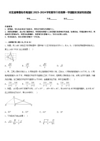 河北省秦皇岛市海港区2023-2024学年数学八年级第一学期期末质量检测试题含答案