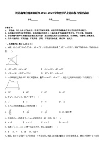 河北省邢台隆尧县联考2023-2024学年数学八上期末复习检测试题含答案