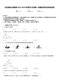 河北省邢台市临西县2023-2024学年数学八年级第一学期期末教学质量检测试题含答案