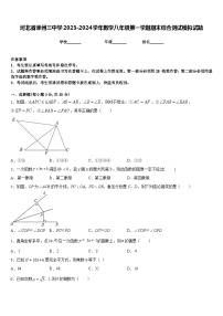 河北省涿州三中学2023-2024学年数学八年级第一学期期末综合测试模拟试题含答案