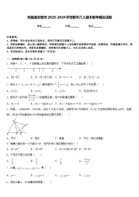 河南省安阳市2023-2024学年数学八上期末联考模拟试题含答案