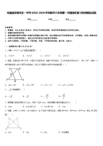 河南省安阳市正一中学2023-2024学年数学八年级第一学期期末复习检测模拟试题含答案