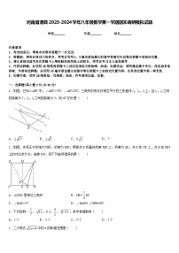 河南省滑县2023-2024学年八年级数学第一学期期末调研模拟试题含答案