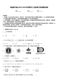 河南省平顶山2023-2024学年数学八上期末复习检测模拟试题含答案