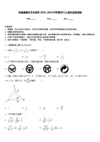 河南省商丘市永城市2023-2024学年数学八上期末监测试题含答案