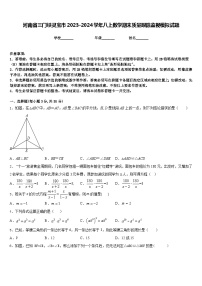 河南省三门峡灵宝市2023-2024学年八上数学期末质量跟踪监视模拟试题含答案