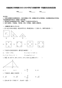 河南省周口市淮阳县2023-2024学年八年级数学第一学期期末达标测试试题含答案