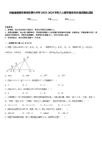 河南省信阳市浉河区第九中学2023-2024学年八上数学期末综合测试模拟试题含答案