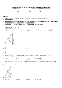 河南省汤阴县2023-2024学年数学八上期末质量检测试题含答案