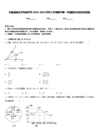 河南省商丘市柘城中学2023-2024学年八年级数学第一学期期末达标检测试题含答案