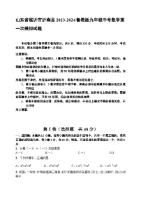 山东省临沂市沂南县2023-2024学年鲁教版九年级中考数学第一次模拟试题