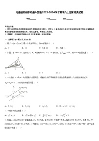 河南省郑州市郑州外国语2023-2024学年数学八上期末经典试题含答案