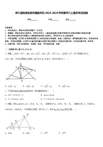 浙江省杭州实验外国语学校2023-2024学年数学八上期末考试试题含答案