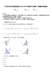 浙江省宁波江北区四校联考2023-2024学年数学八年级第一学期期末经典试题含答案