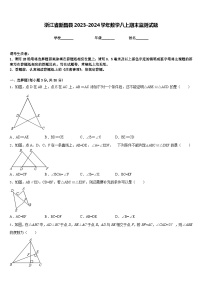 浙江省新昌县2023-2024学年数学八上期末监测试题含答案