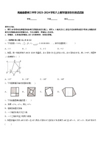 海南省儋州三中学2023-2024学年八上数学期末综合测试试题含答案