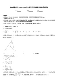 海南省儋州市2023-2024学年数学八上期末教学质量检测试题含答案