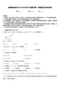 海南省临高县2023-2024学年八年级数学第一学期期末达标测试试题含答案