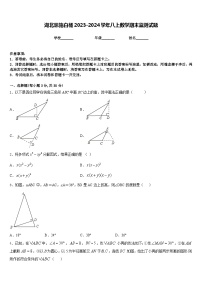 湖北恩施白杨2023-2024学年八上数学期末监测试题含答案