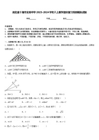 湖北省十堰市实验中学2023-2024学年八上数学期末复习检测模拟试题含答案