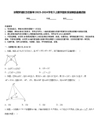 深圳罗湖区五校联考2023-2024学年八上数学期末质量跟踪监视试题含答案