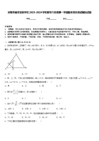 深圳市锦华实验学校2023-2024学年数学八年级第一学期期末综合测试模拟试题含答案